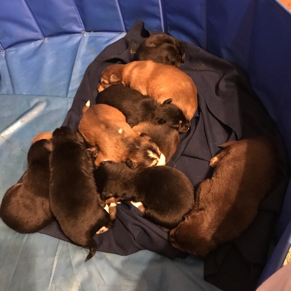 No Trades For Our Items; But We Will Take Offers! - Picture 3 of 8